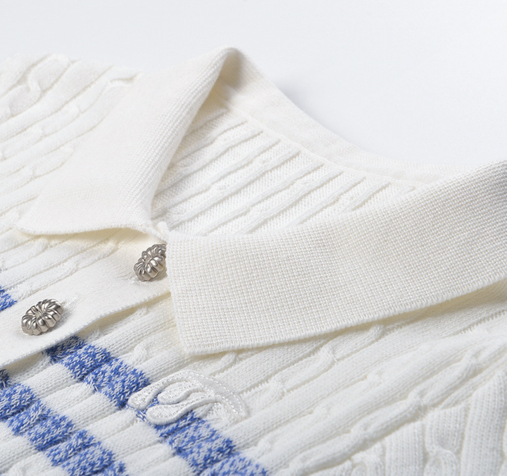 Blue Stripe Knit Polo Top