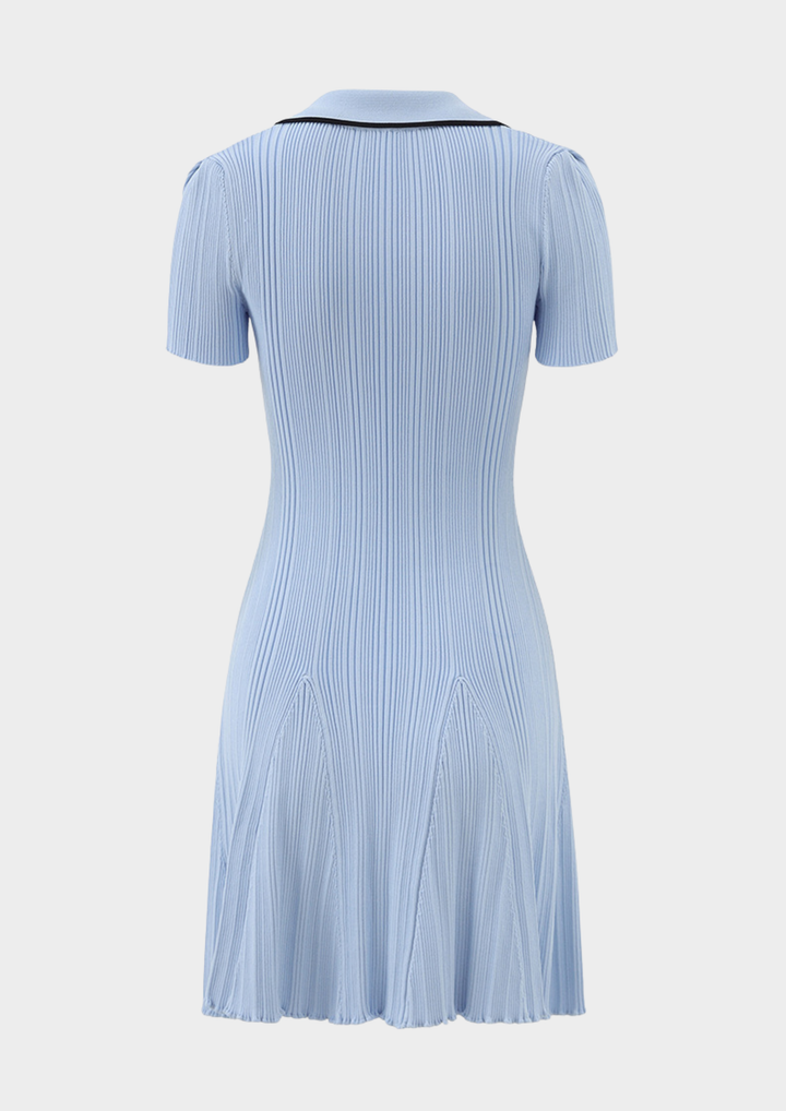 Siena  Knit Buttoned Flare Mini Dress - Blue