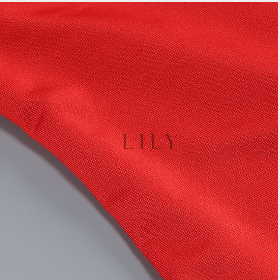 Naomi Muse Halter Mesh Mini Dress