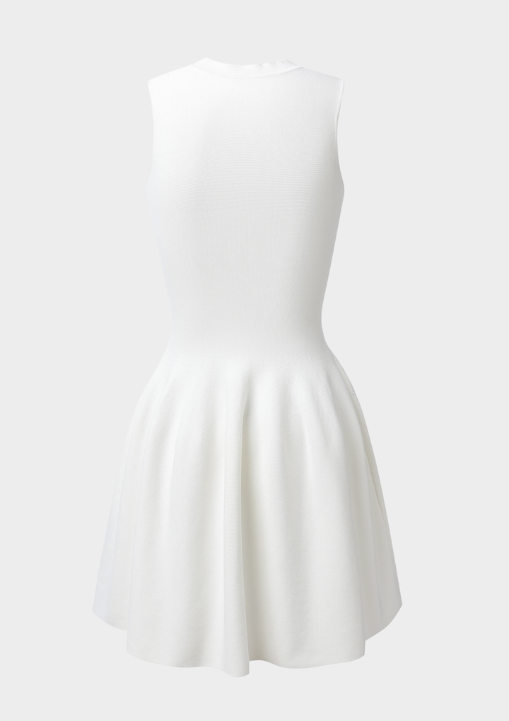 Ivory Floral Skater Dress