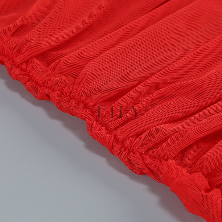 Mesh Ruched Elegance mini Dress