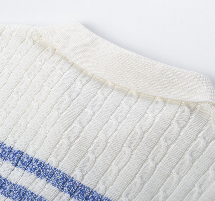 Blue Stripe Knit Polo Top