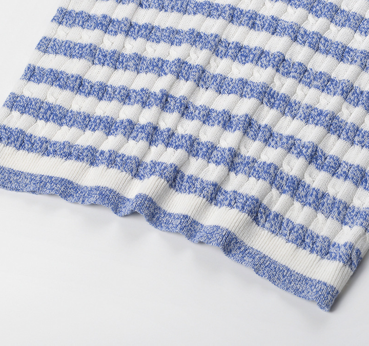Blue Stripe Knit Polo Top