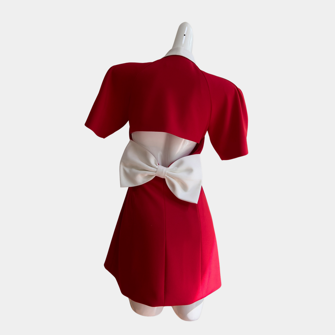 Scarlet Bow Mini Dress